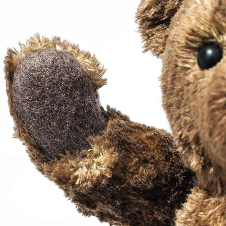 55PB Teddy bear