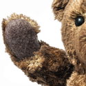 55PB Teddy bear