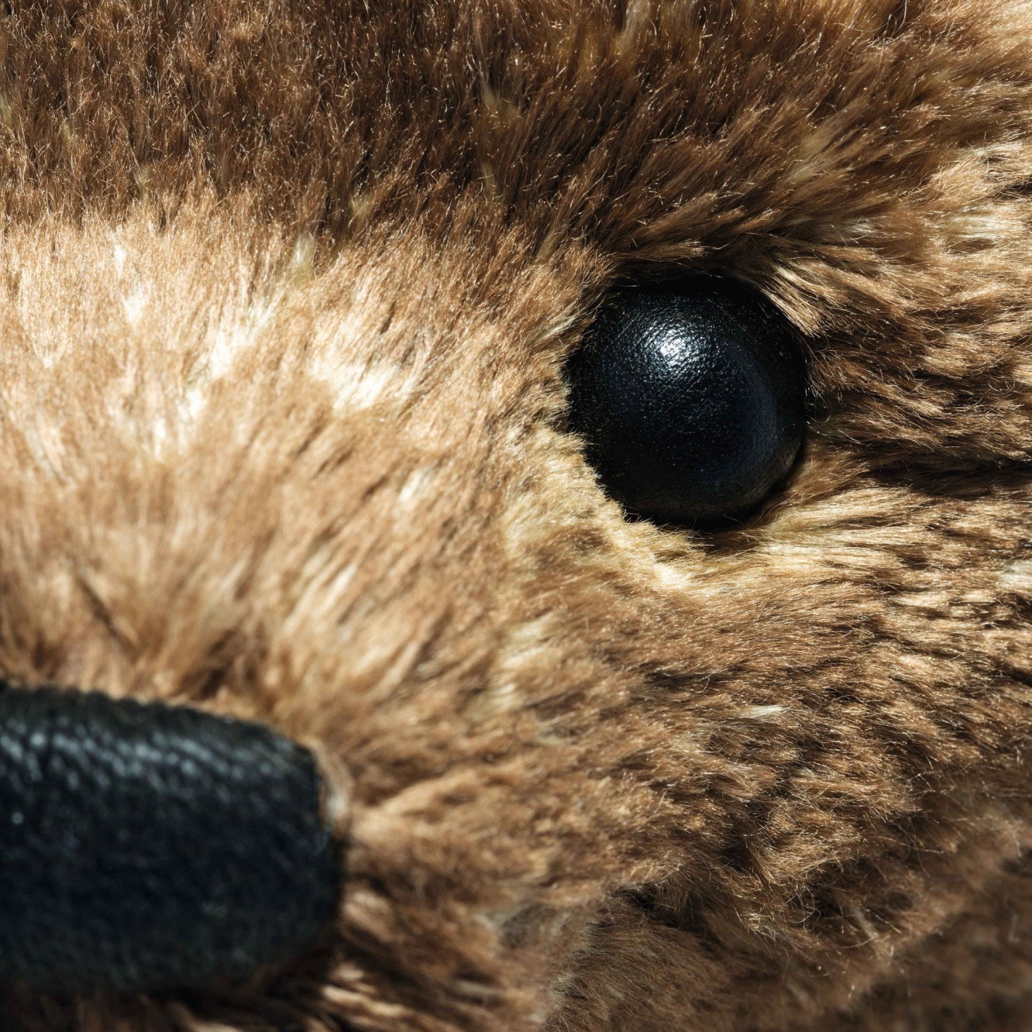 55PB Teddy bear