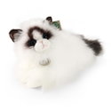 Плюшена Котка Рагдол Rappa