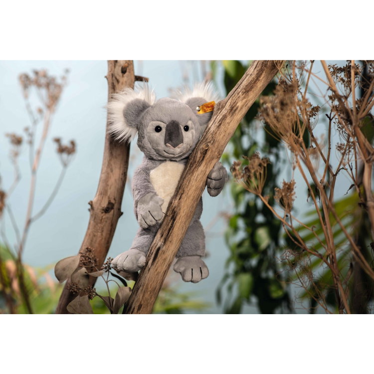 Nils Koala