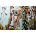 Nils Koala
