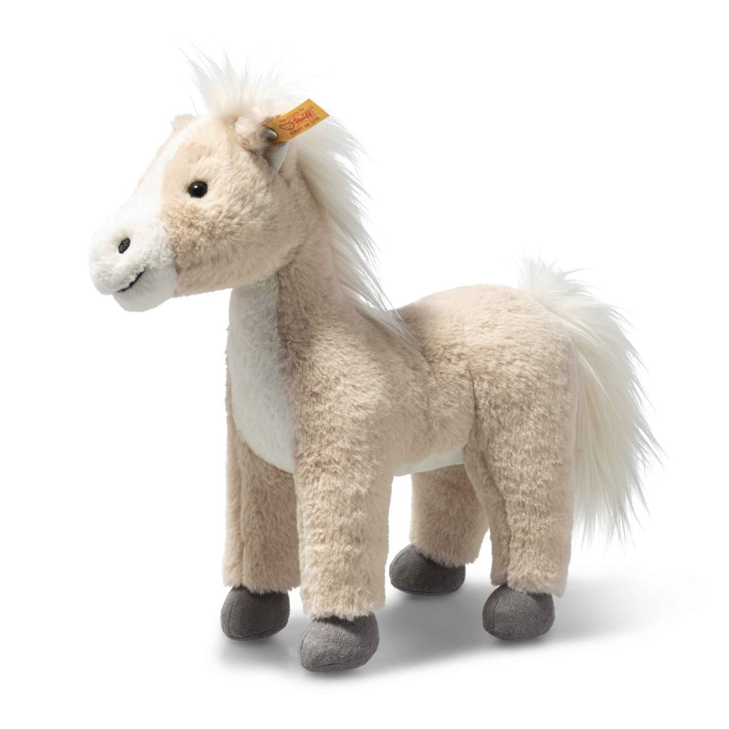 Gola horse