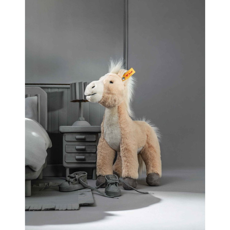 Gola horse