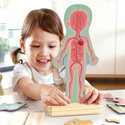 Магнитен пъзел Човешкото тяло, Hape