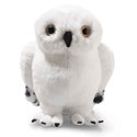 Hedwig owl