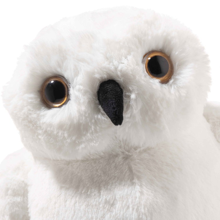 Hedwig owl