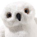 Hedwig owl
