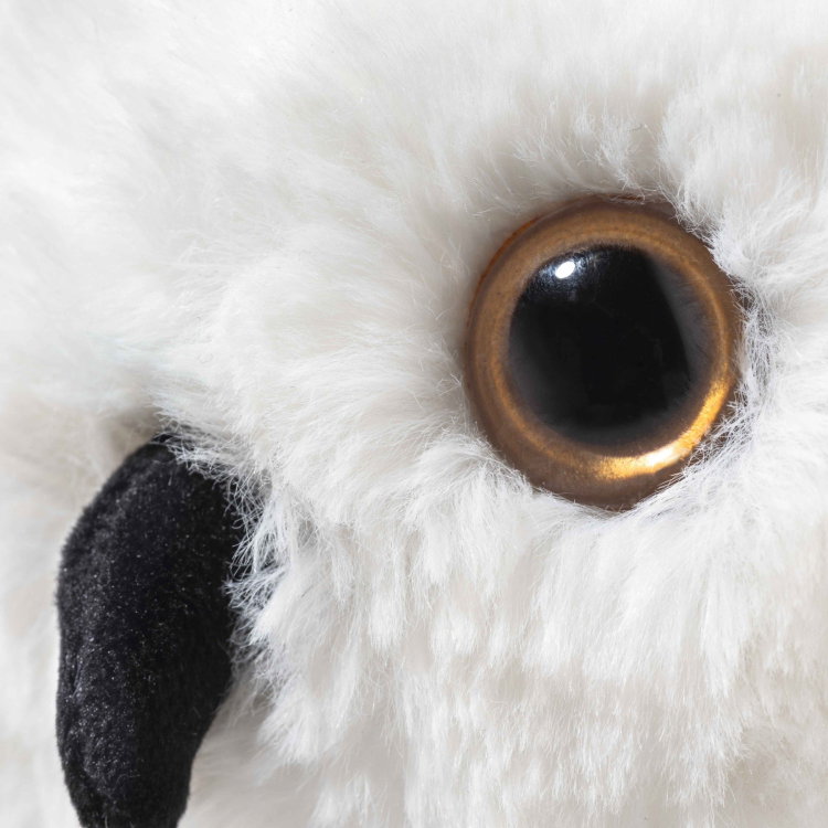 Hedwig owl