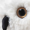 Hedwig owl