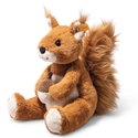 Phil squirrel