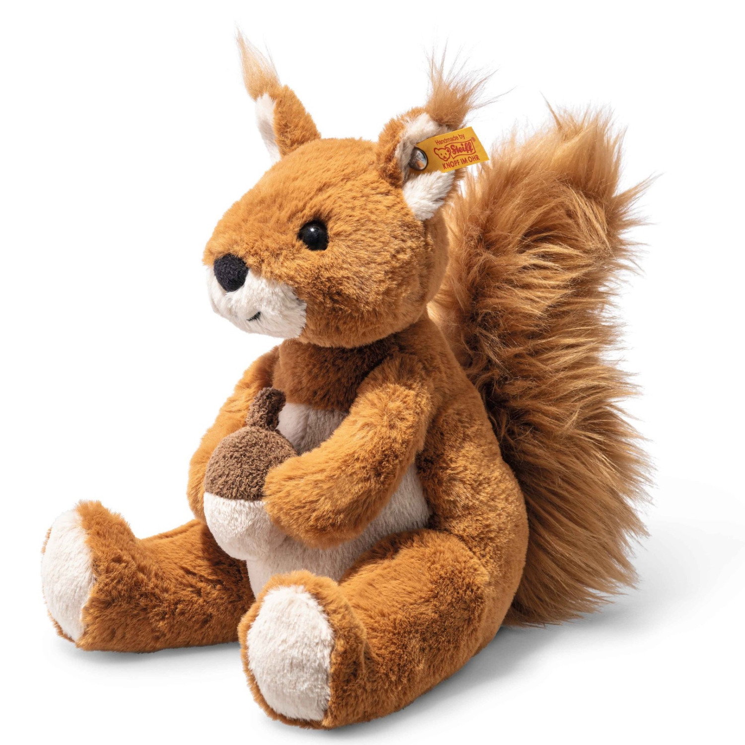 Phil squirrel