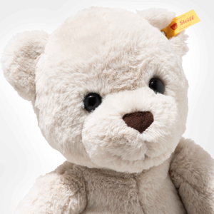 Robby Teddy bear