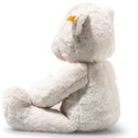 Robby Teddy bear