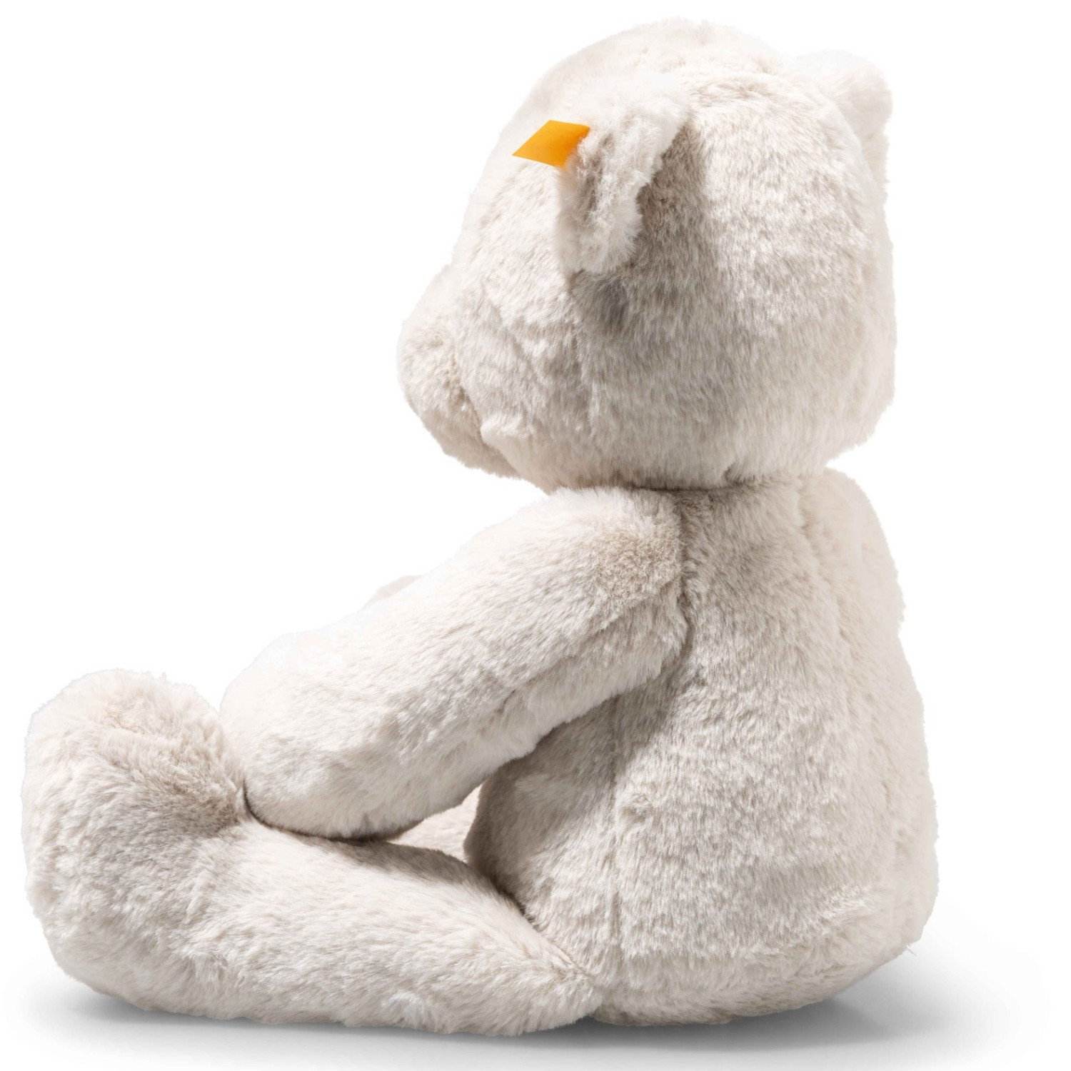 Robby Teddy bear