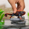 Фигурка Хамелеон, Schleich