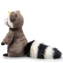 Pedro racoon