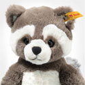 Pedro racoon