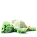 Tuggy tortoise
