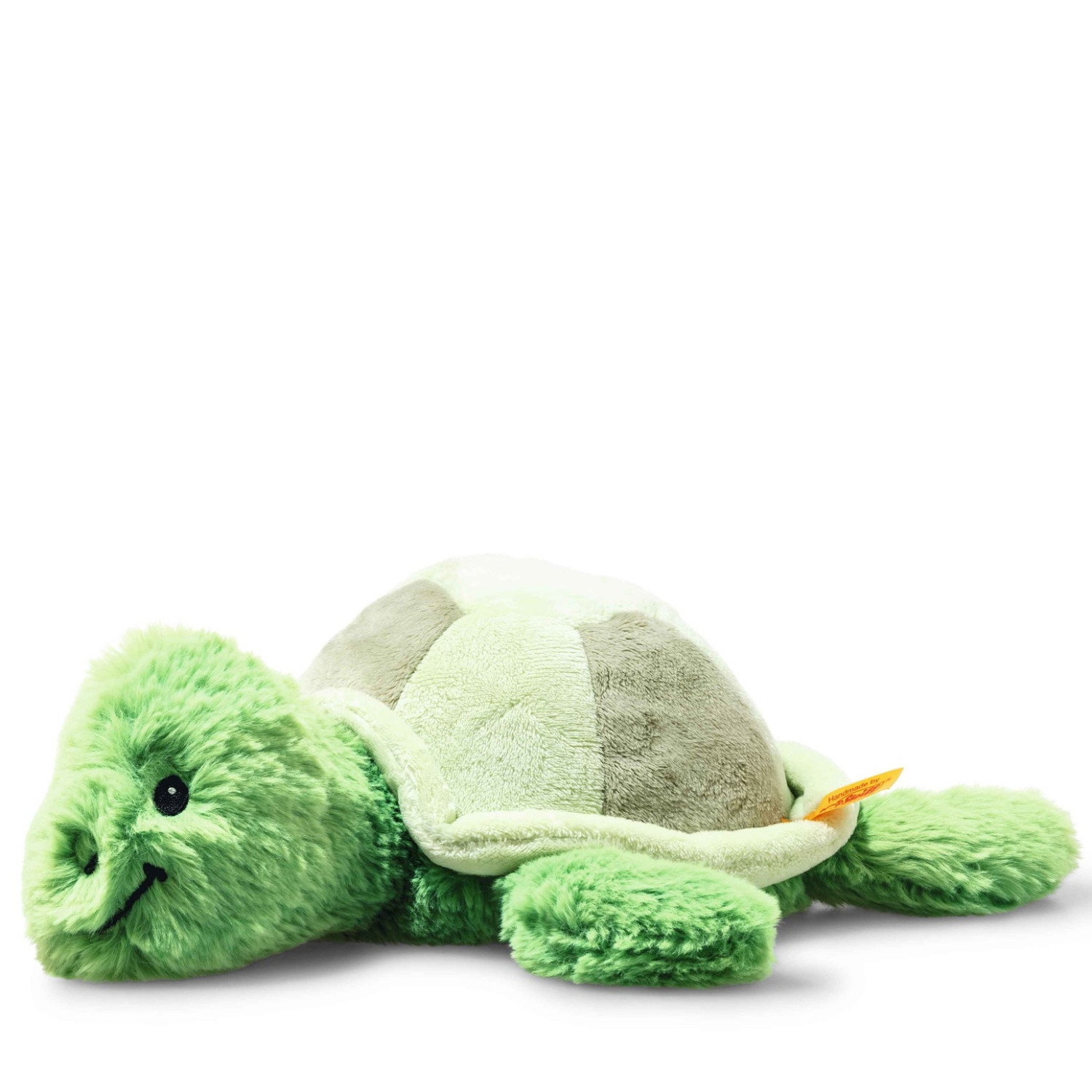 Tuggy tortoise