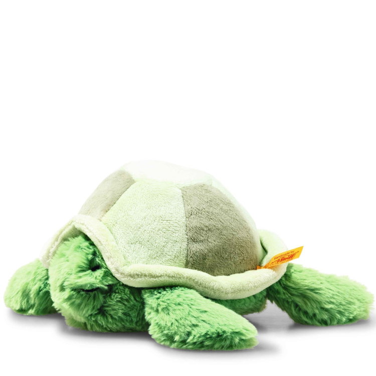 Tuggy tortoise