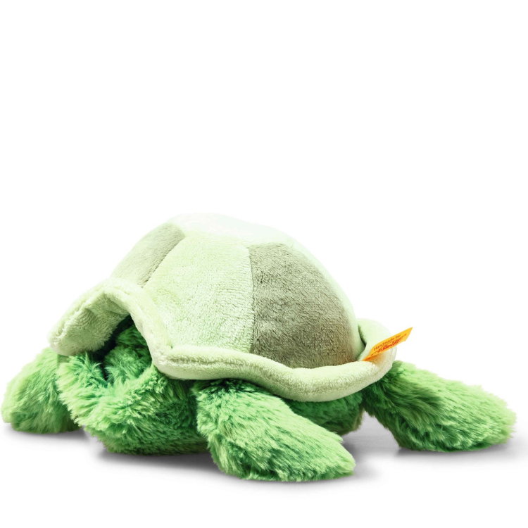 Tuggy tortoise