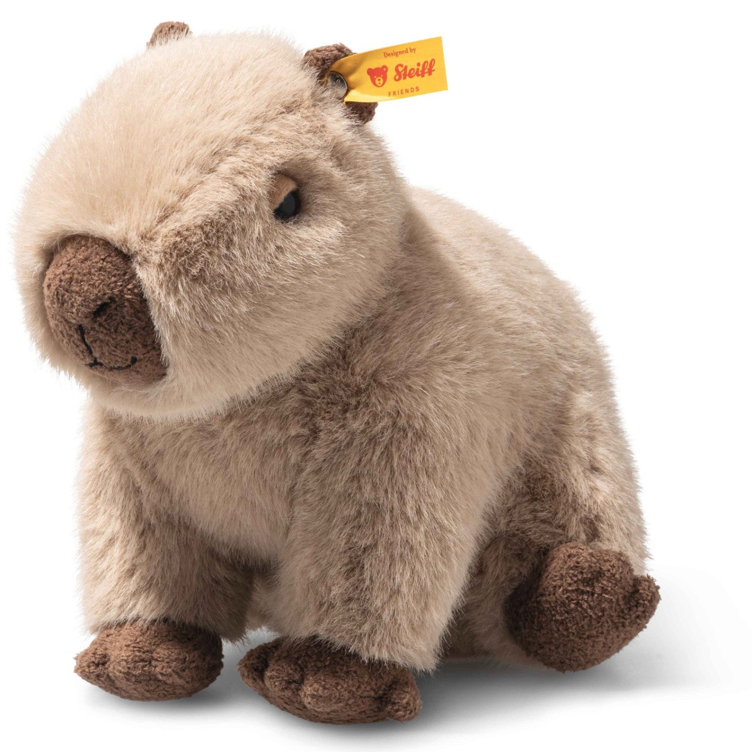 Chip Capybara