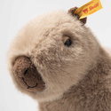 Chip Capybara