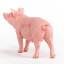 Фигурка Прасе майка, Schleich