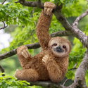 Фигурка Ленивец, Schleich