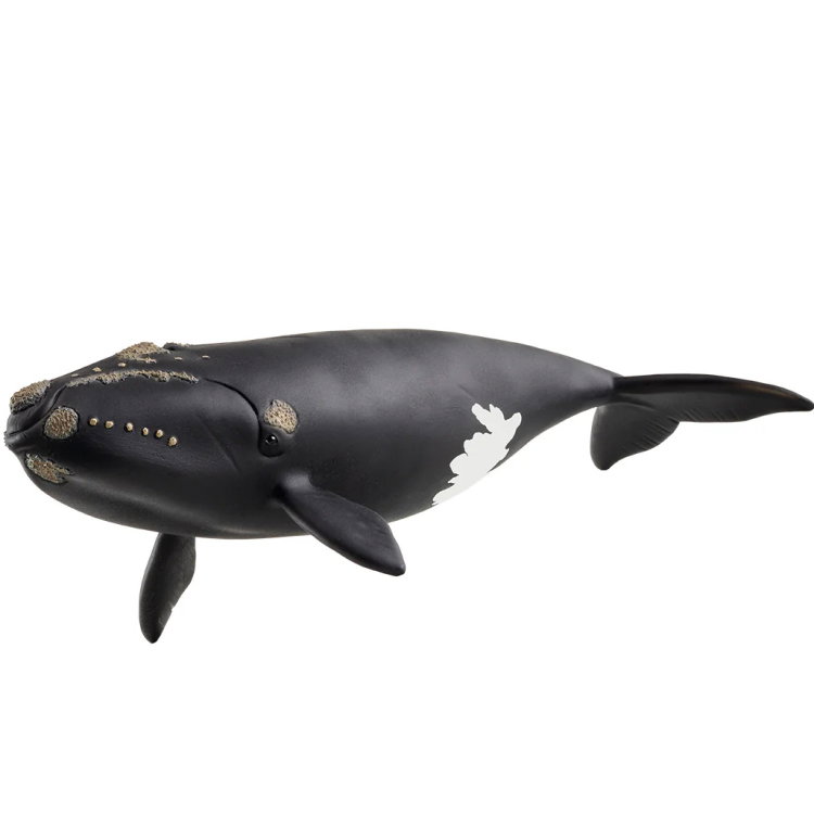 Фигурка Бискайски кит, Schleich