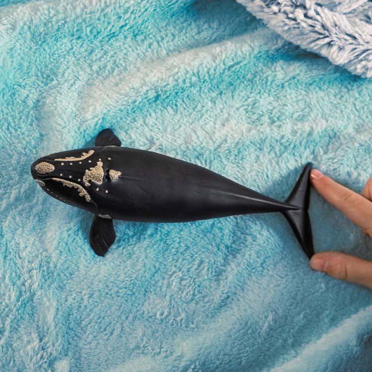 Фигурка Бискайски кит, Schleich