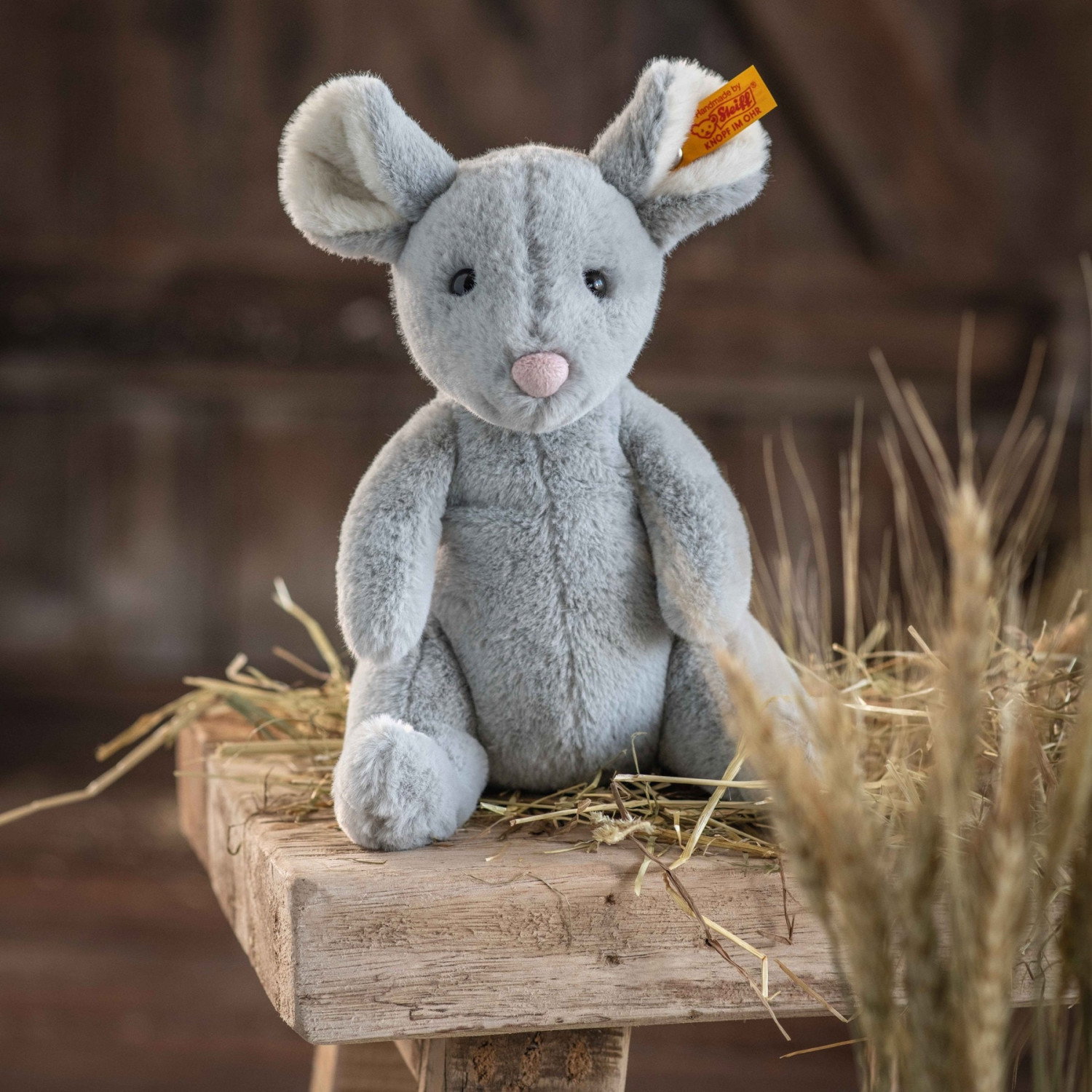 Cheesy mouse