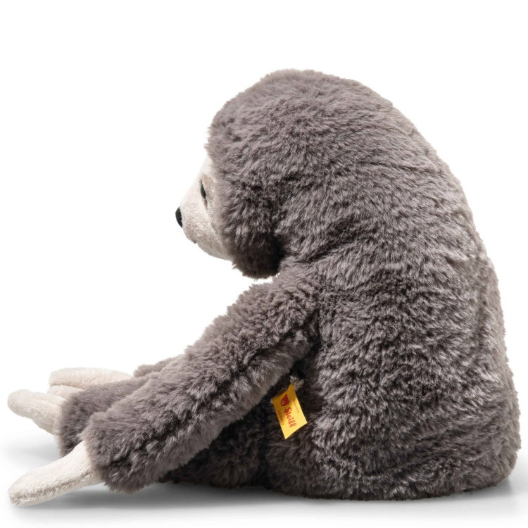 Sanny sloth
