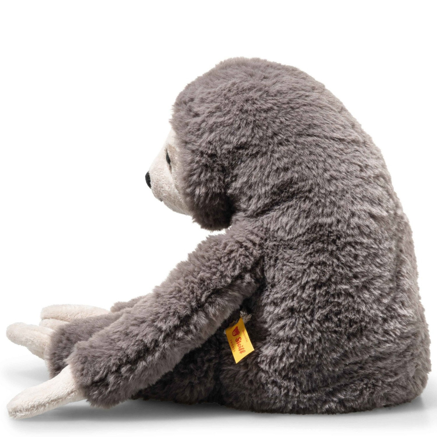 Sanny sloth