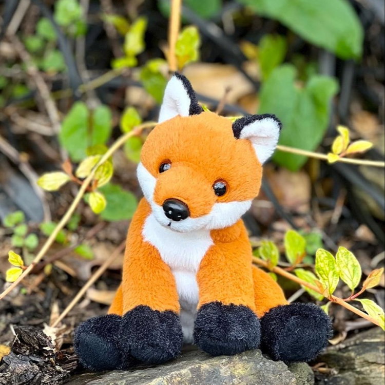 CUDDLE CUB FOX