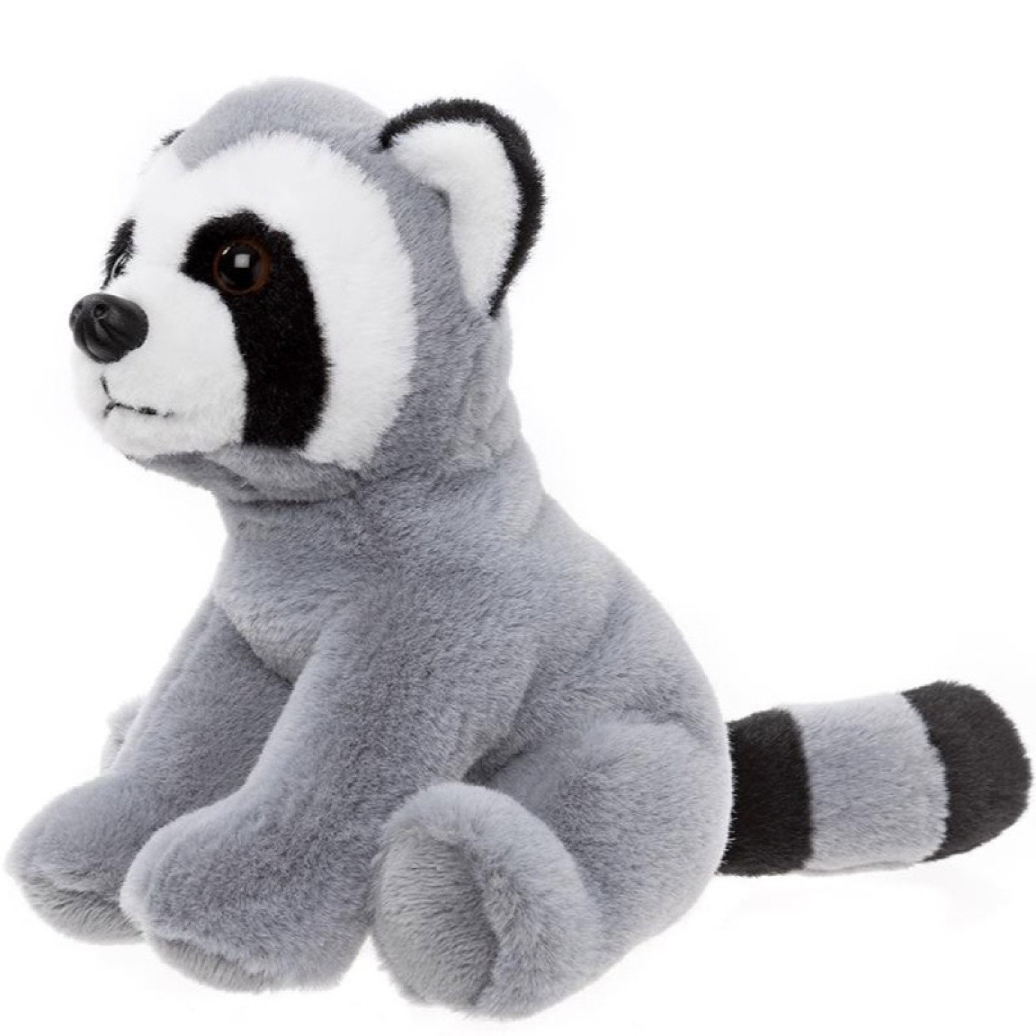CUDDLE CUB RACCOON