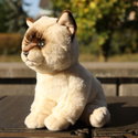 Плюшена Котка бебе Рагдол Rappa