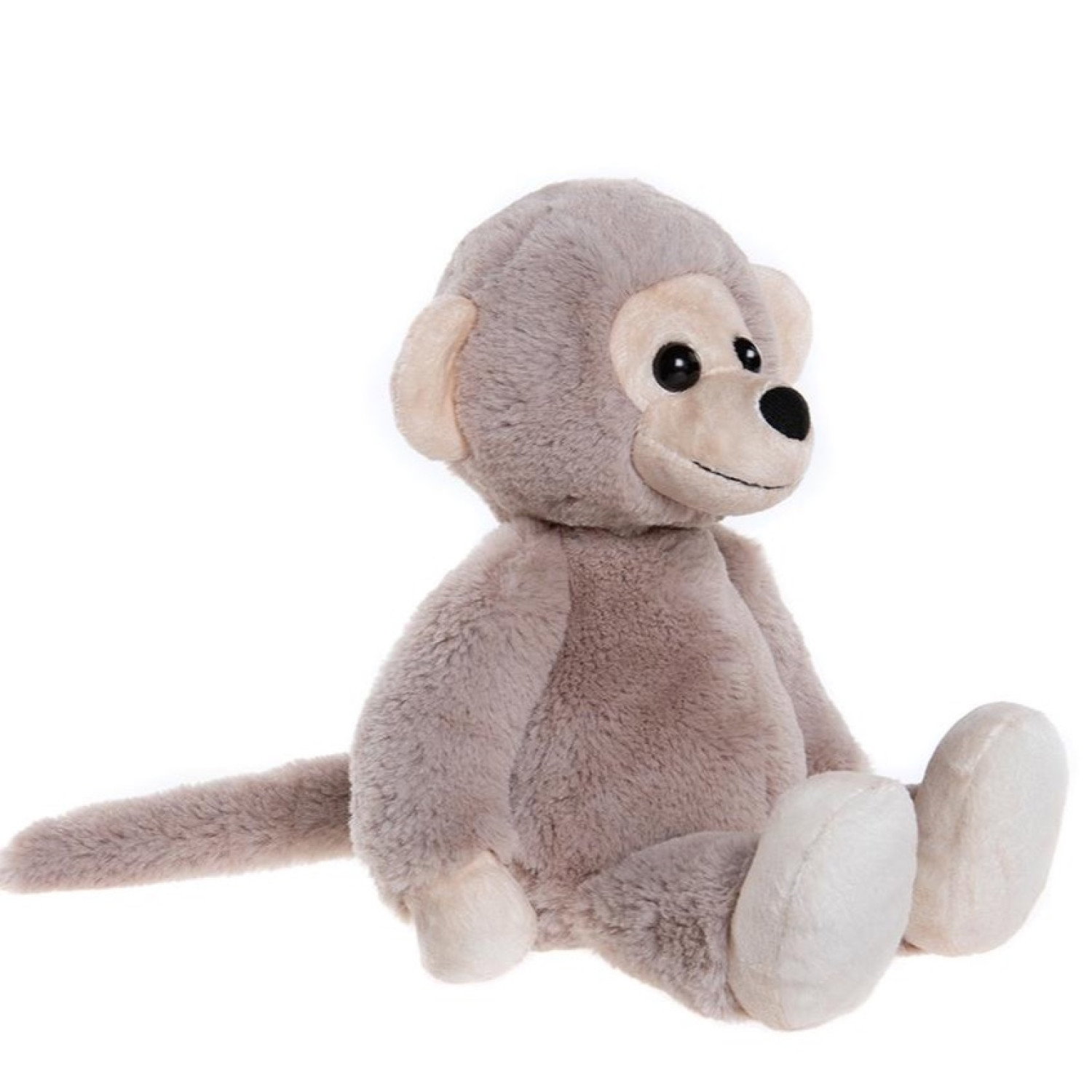 CHEEKY MONKEY