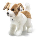 Terrie Dog