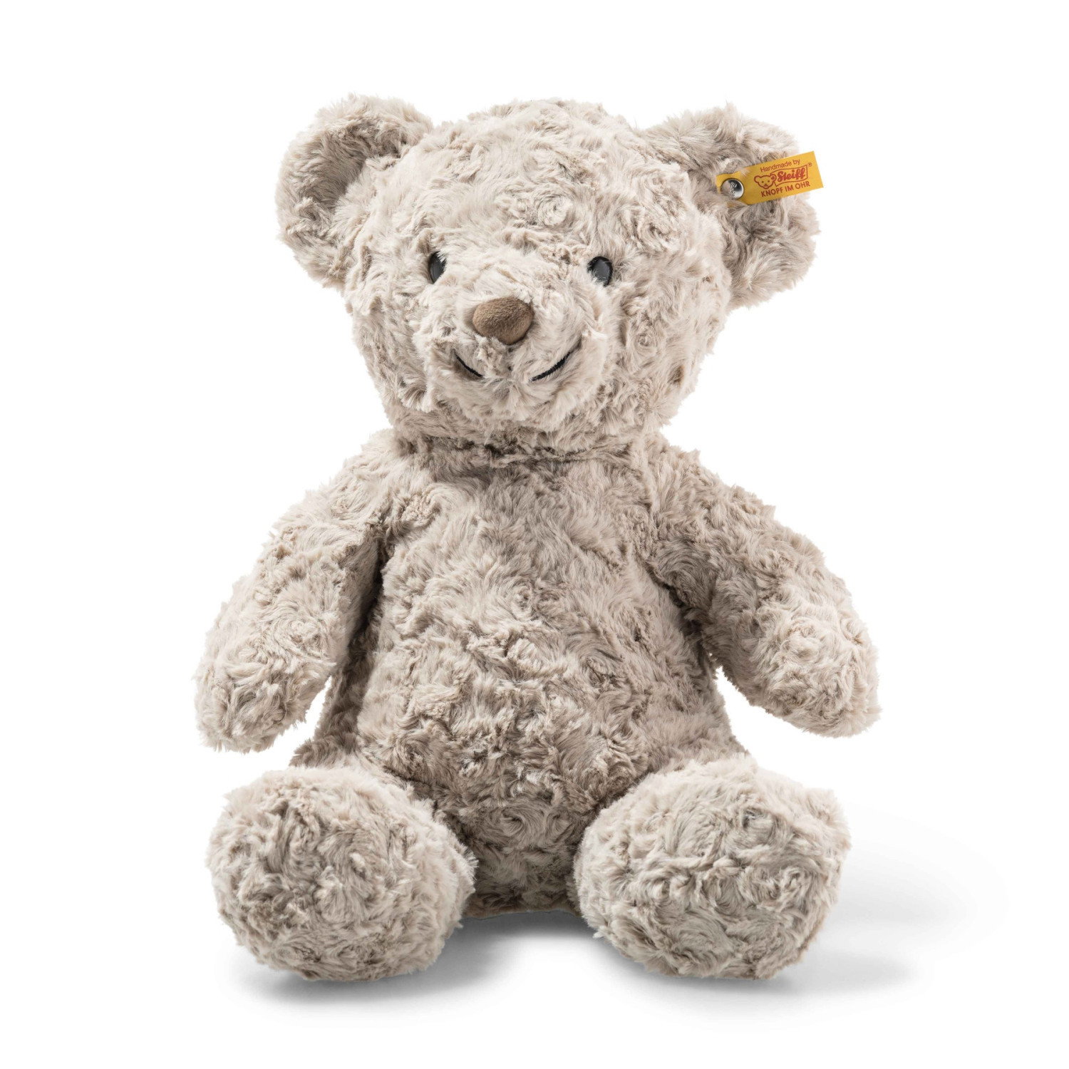 Honey Teddy bear