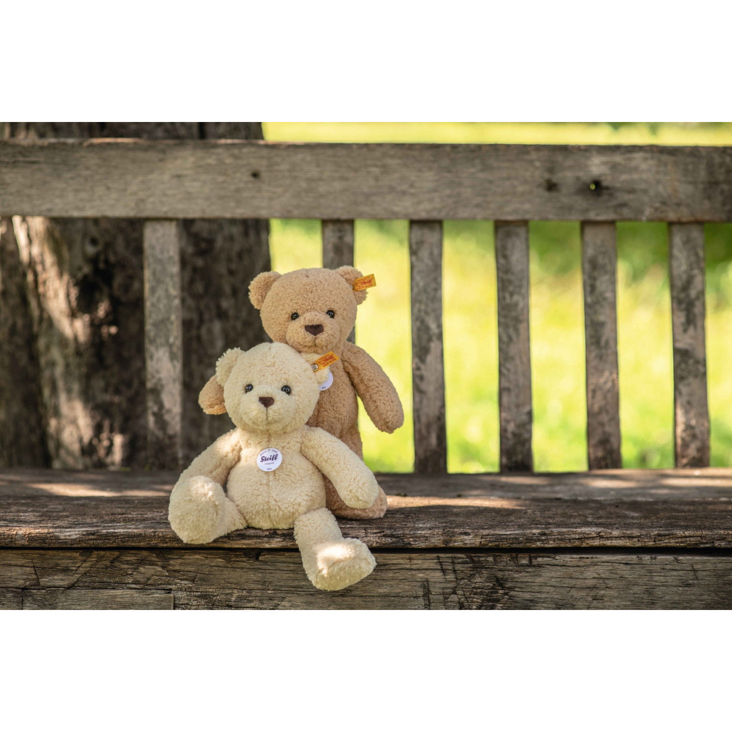 Mila Teddy bear