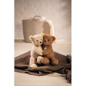 Papa Bear