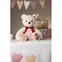 Jimmy Teddy bear – Love