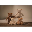 Ben Teddy bear