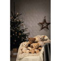 Ben Teddy bear