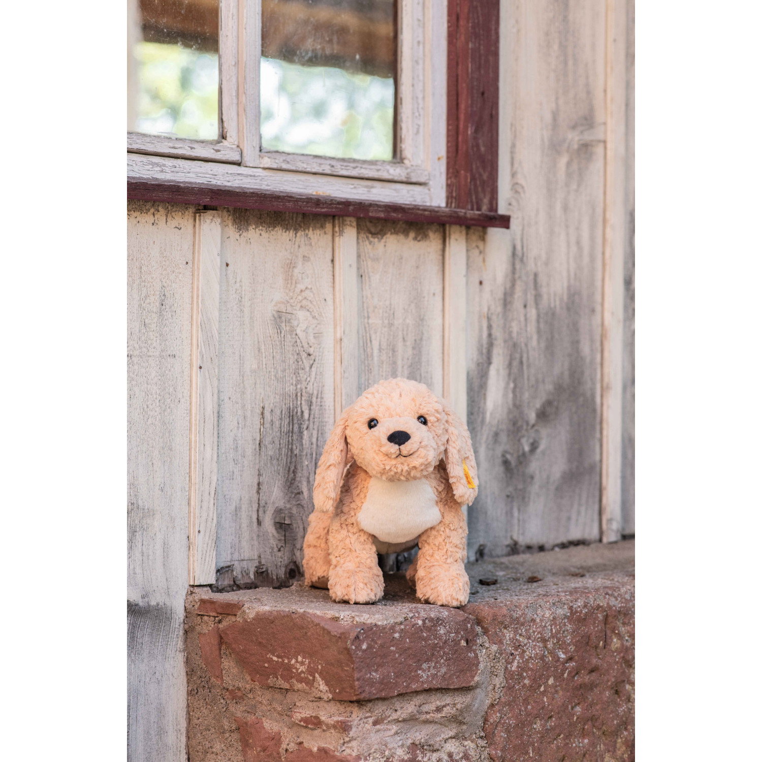 Berno Goldendoodle