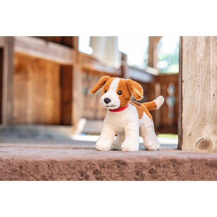 Snuffy dog