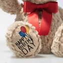 Jimmy Teddy bear – Happy Birthday