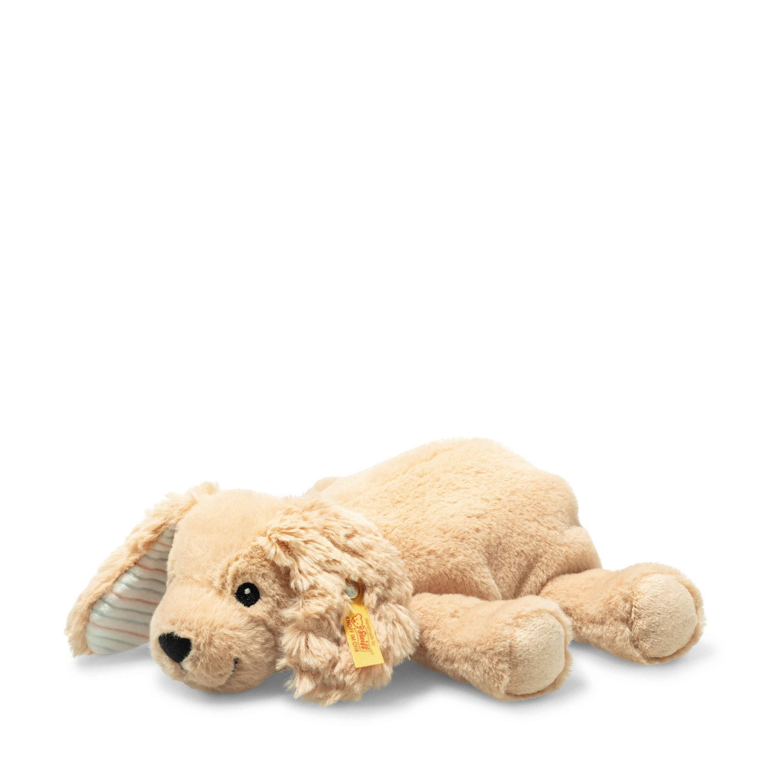 Floppy Lumpi dog